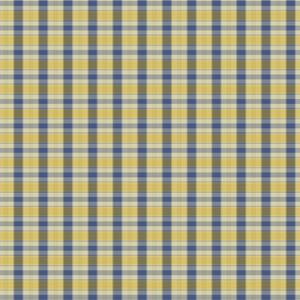 LEON Upholstery and Drapery Plaid Check Design