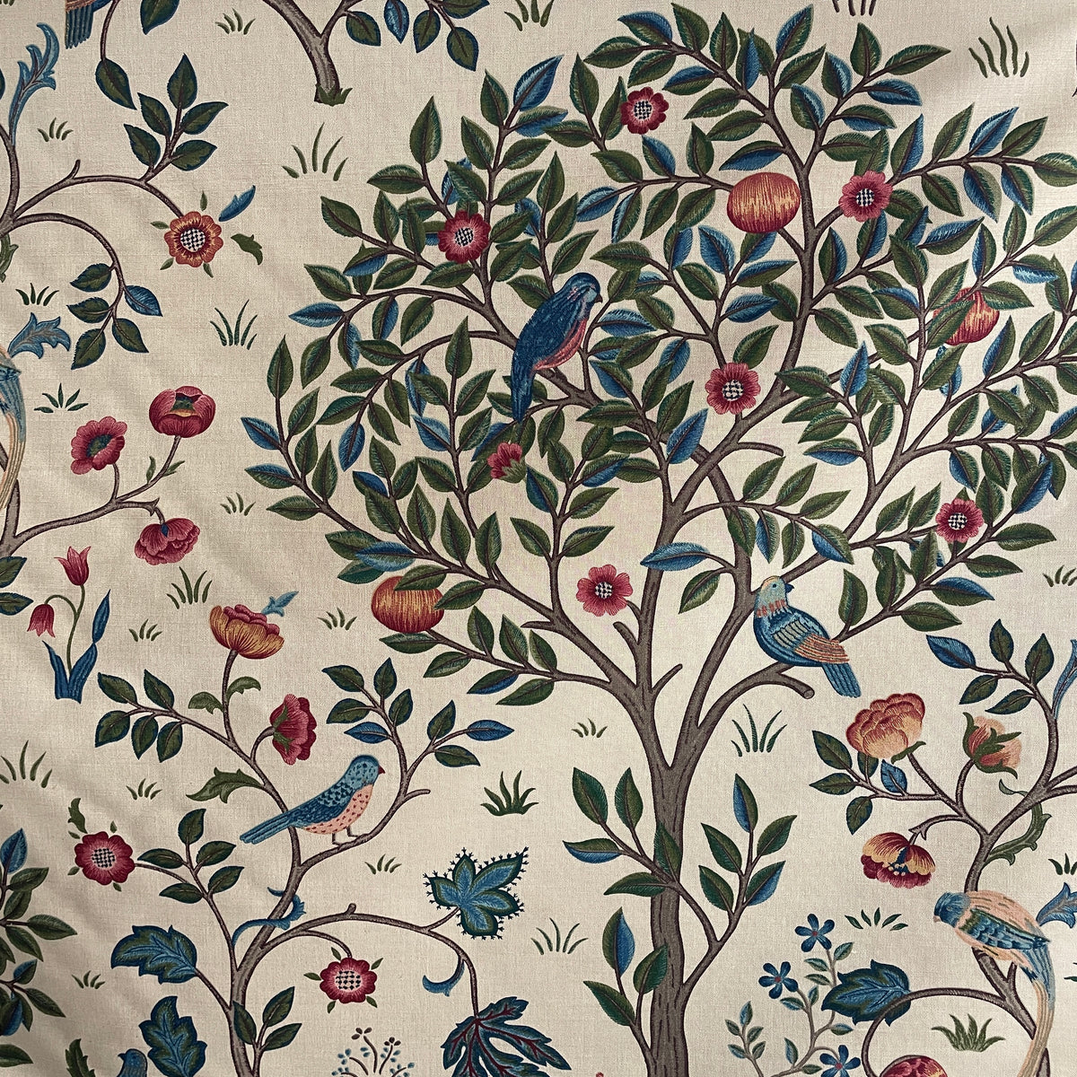 IMG_7164_7b757257-4bdf-42a1-