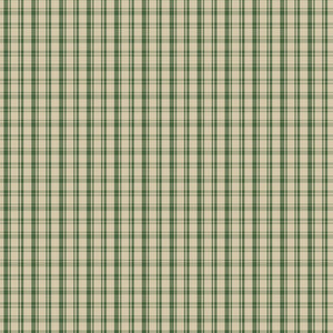 NEW MEXICO GREEN Upholstery and Drapery Plaid Check Design