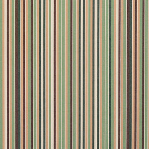 PATIO GREEN  Upholstery Indoor/Outdoor Striped Design