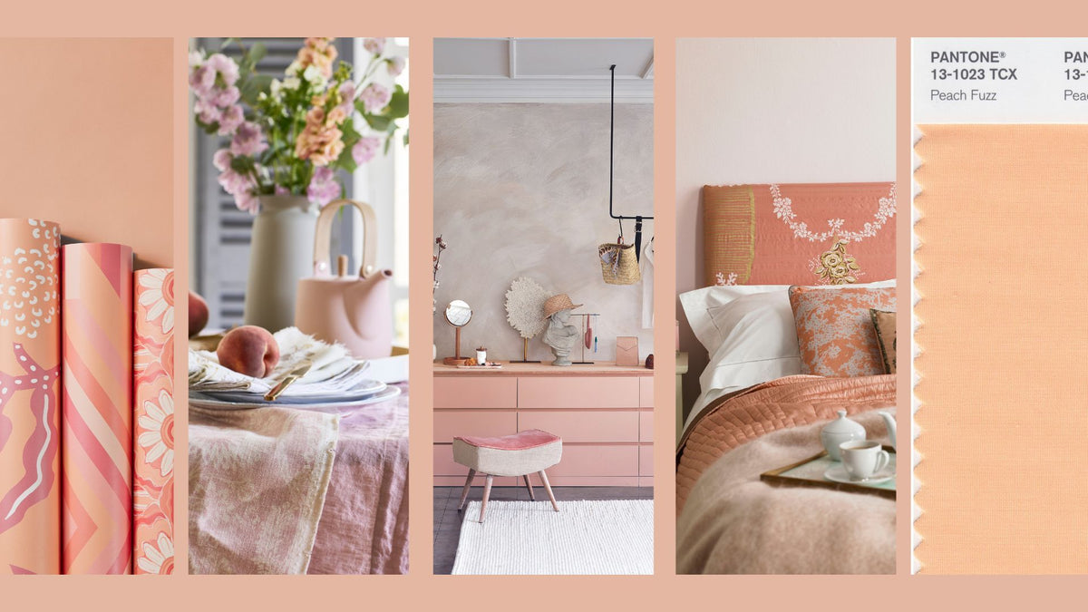 COLOR OF THE YEAR 2024