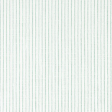 CLASSICAL SILVER SPRINGS Upholstery and Drapery Stripe Design