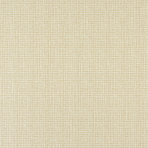 WILLY SHORELINE Upholstery and Drapery Stripe Design