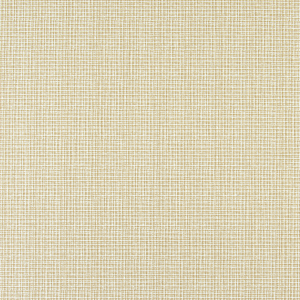 WILLY SHORELINE Upholstery and Drapery Stripe Design