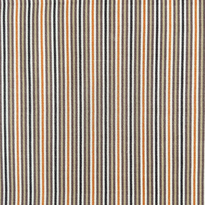 BAMBINI AUTUMN Upholstery and Drapery Stripe Print Design