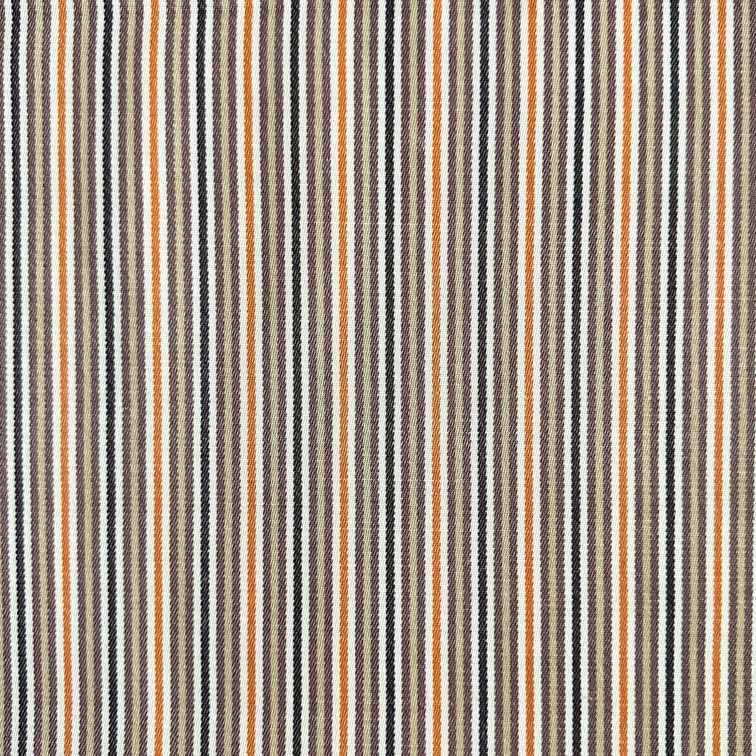BAMBINI AUTUMN Upholstery and Drapery Stripe Print Design