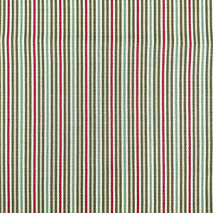 BAMBINI GRASS Upholstery and Drapery Stripe Print Design