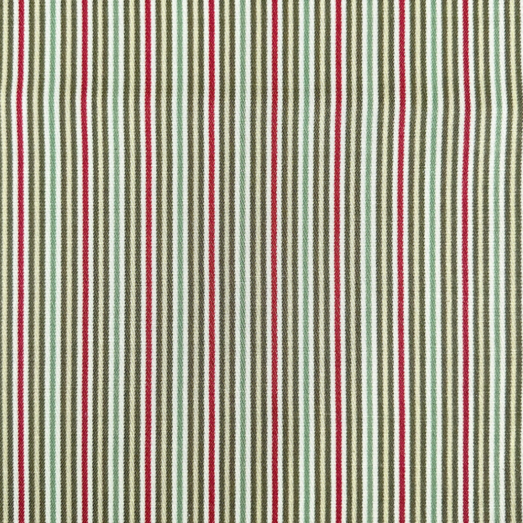 BAMBINI GRASS Upholstery and Drapery Stripe Print Design