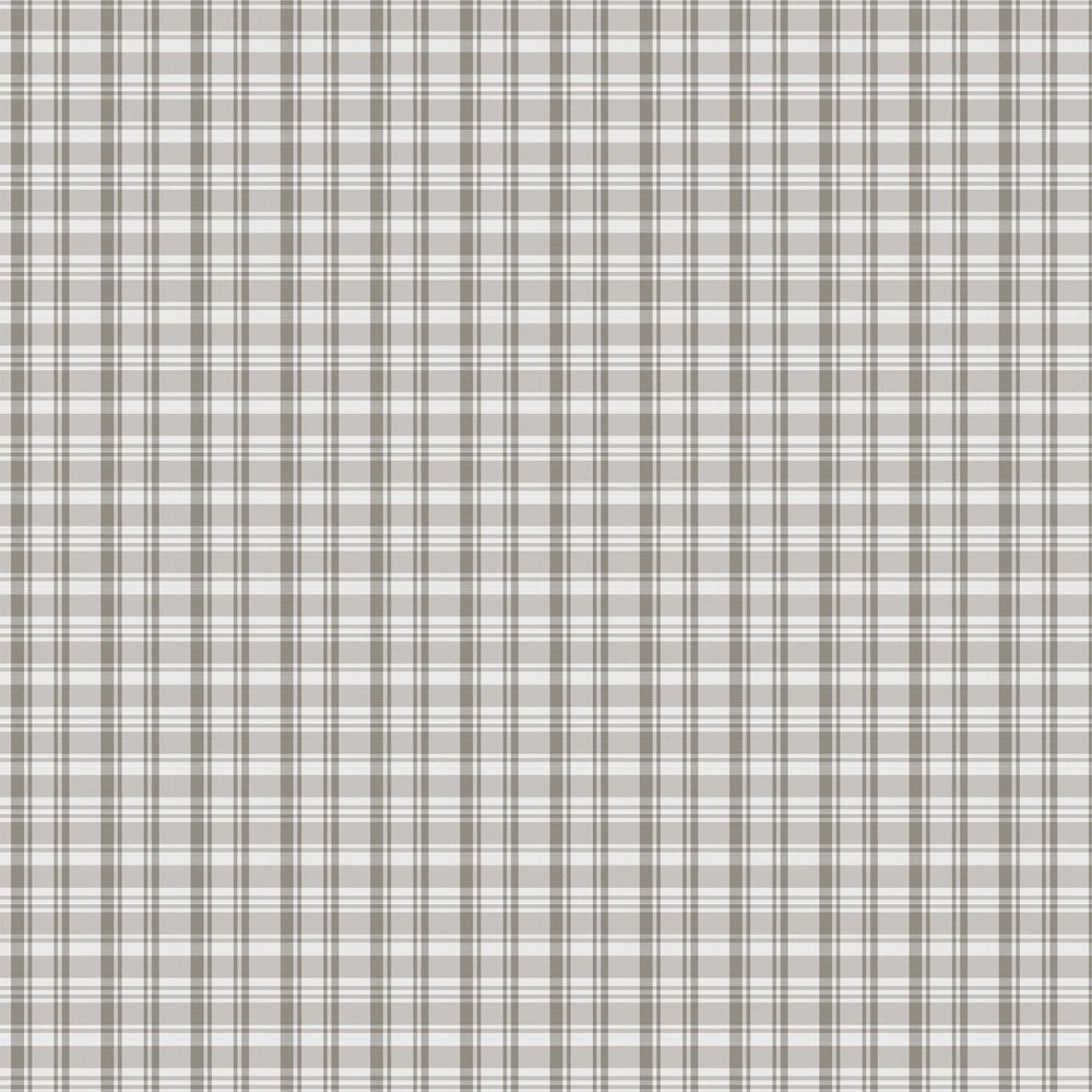 NEW MEXICO GRAY Upholstery and Drapery Plaid Check Design